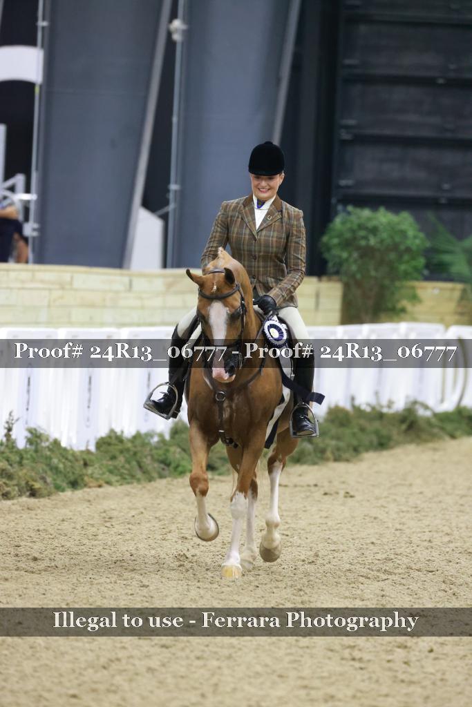 Proof 24R13_06777