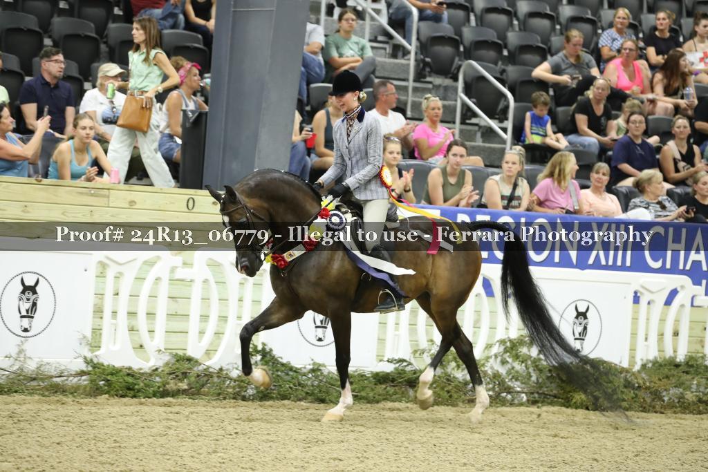 Proof 24R13_06779