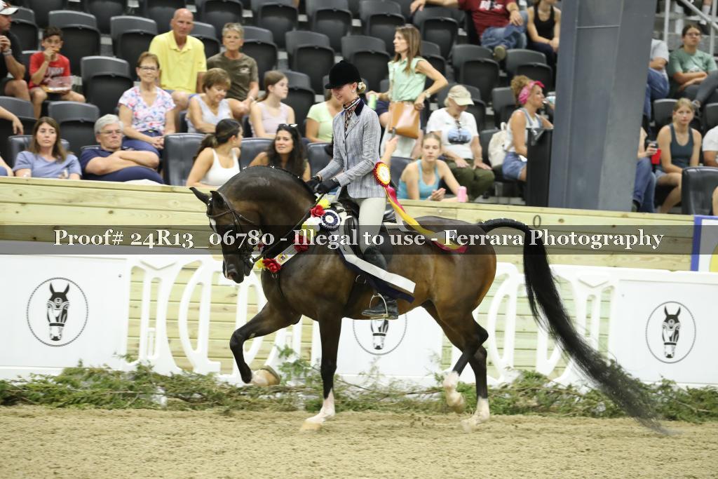 Proof 24R13_06780