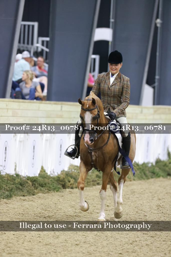 Proof 24R13_06781