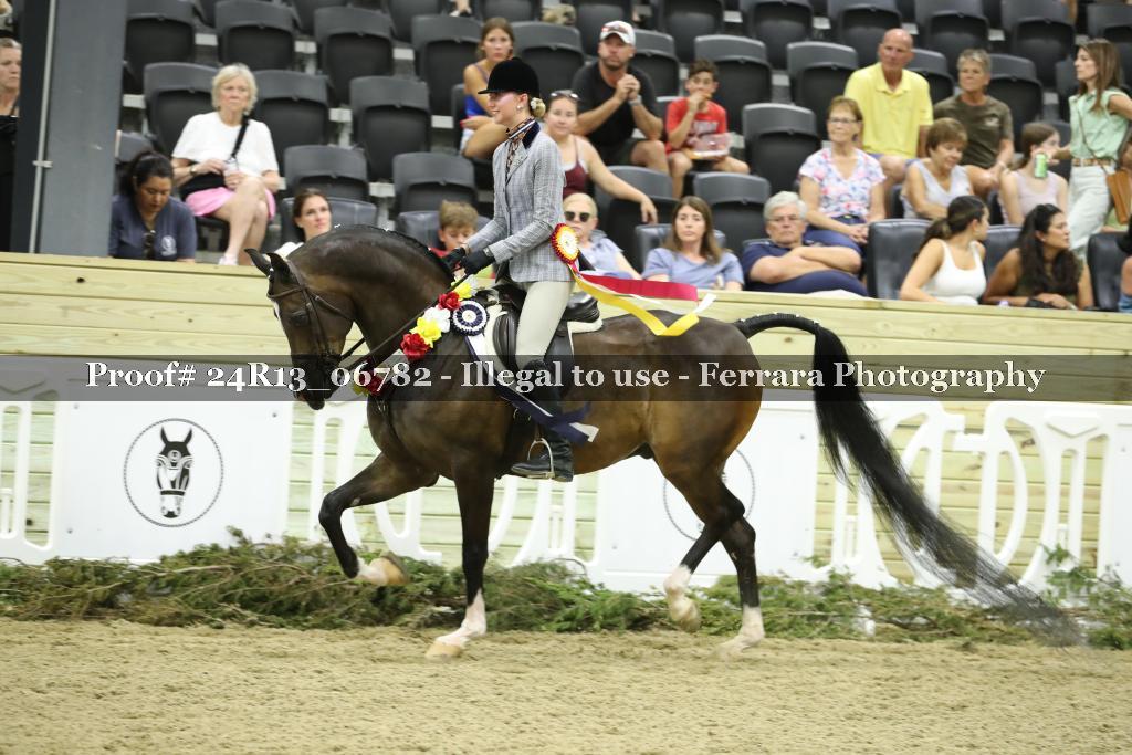 Proof 24R13_06782