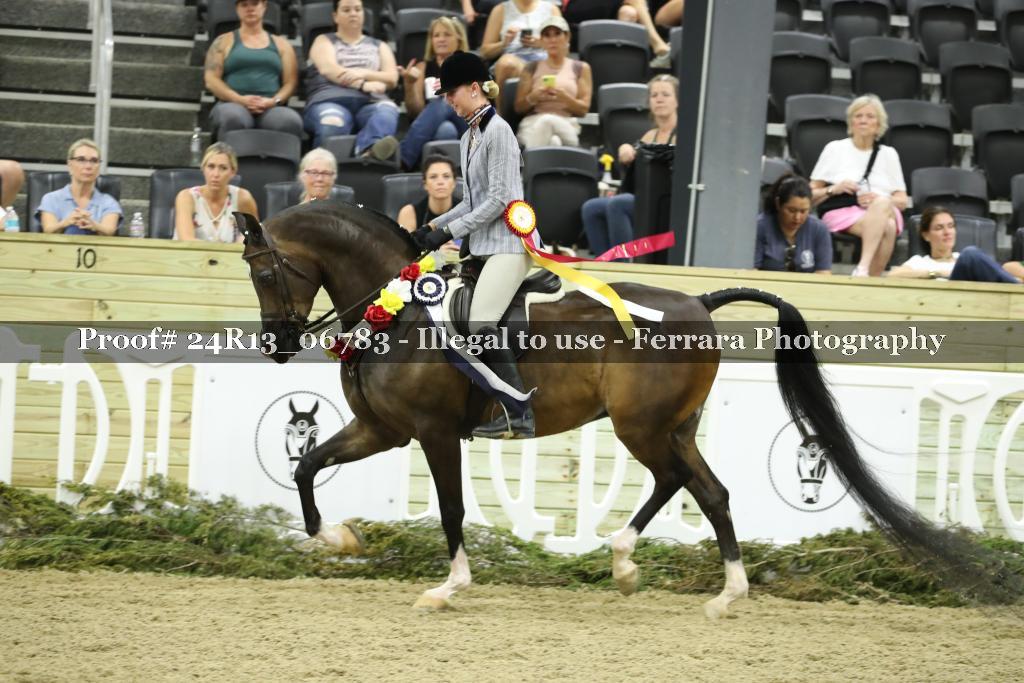 Proof 24R13_06783