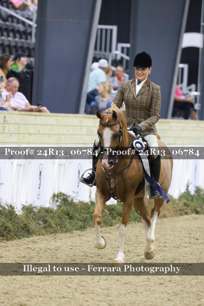 Proof 24R13_06784