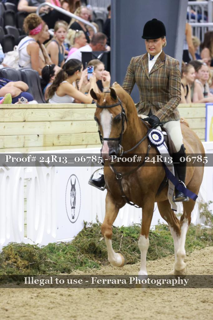 Proof 24R13_06785