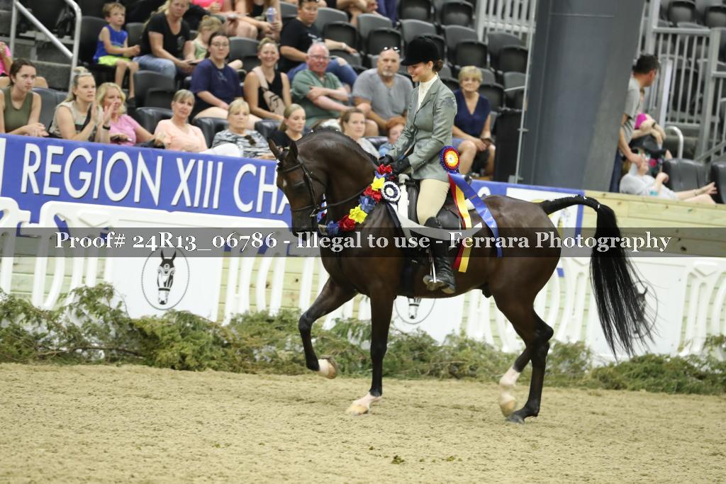 Proof 24R13_06786