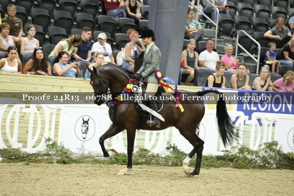 Proof 24R13_06788