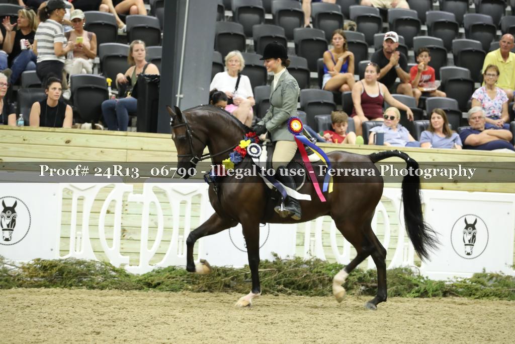 Proof 24R13_06790