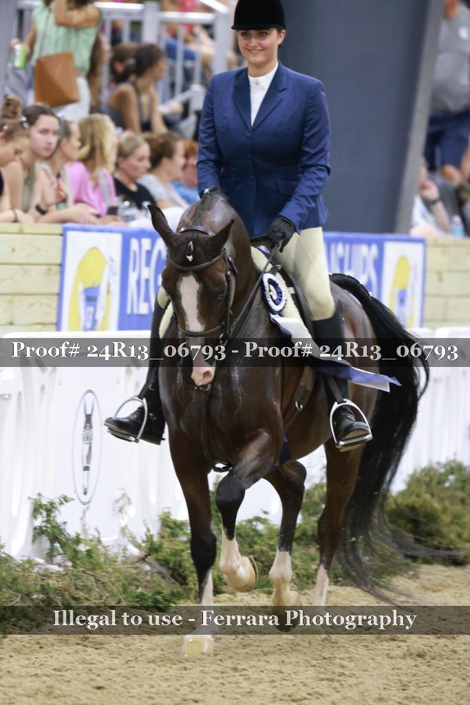 Proof 24R13_06793