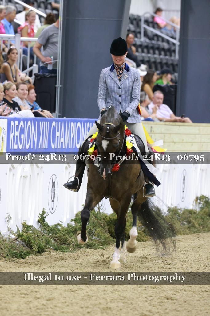 Proof 24R13_06795