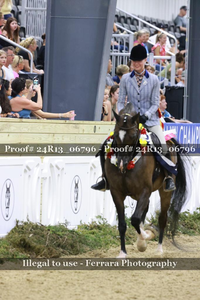 Proof 24R13_06796
