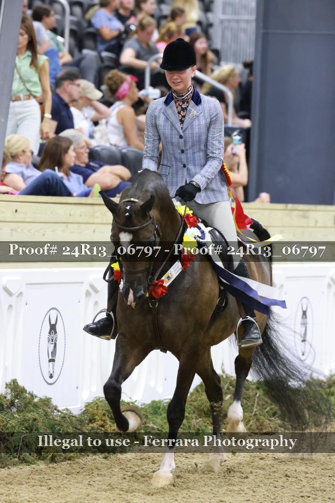 Proof 24R13_06797