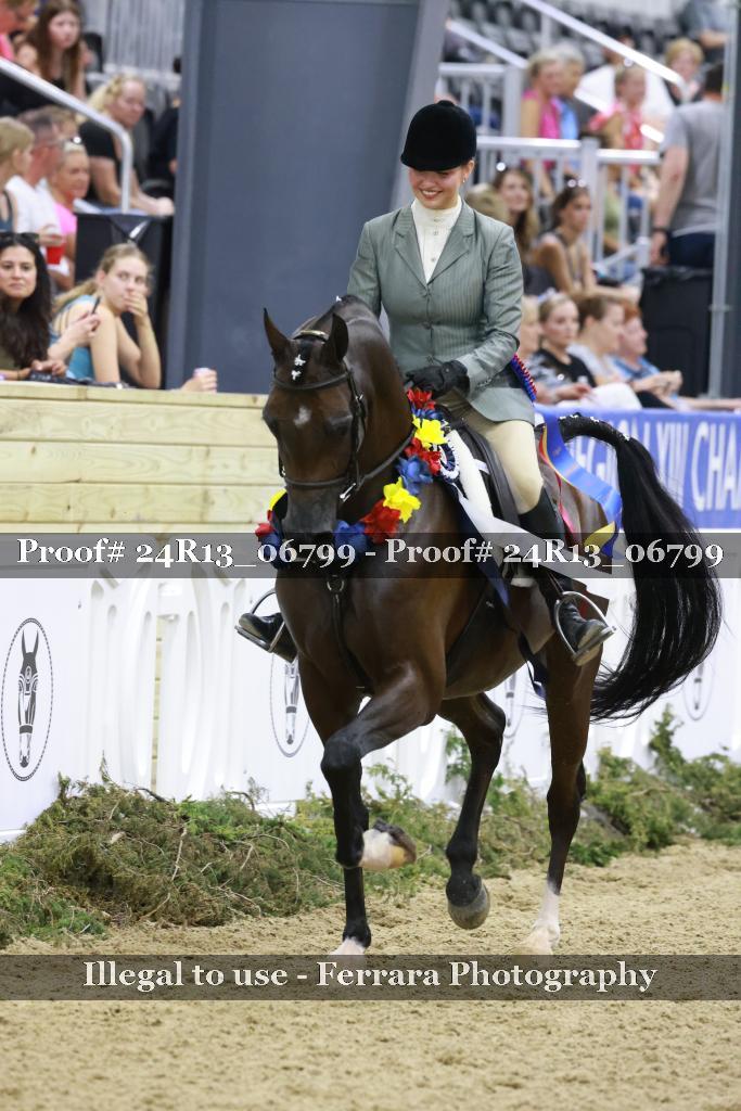Proof 24R13_06799