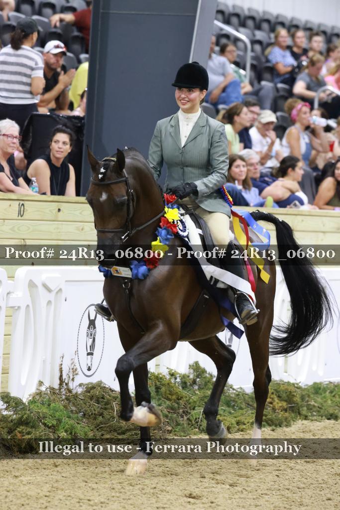Proof 24R13_06800