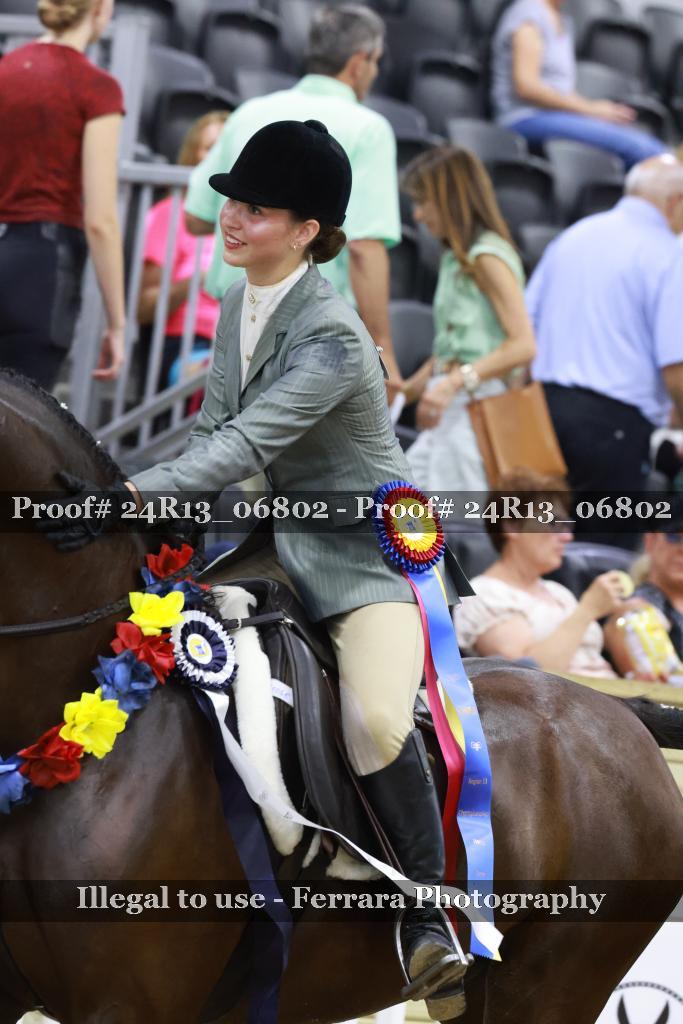 Proof 24R13_06802