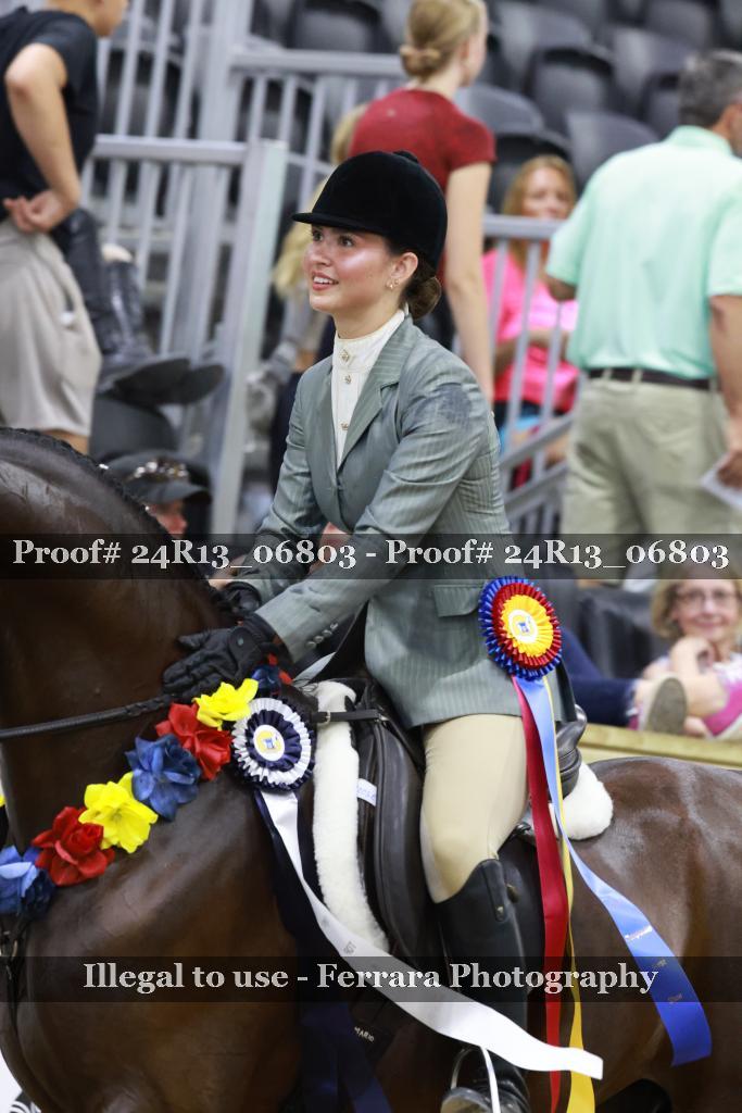 Proof 24R13_06803
