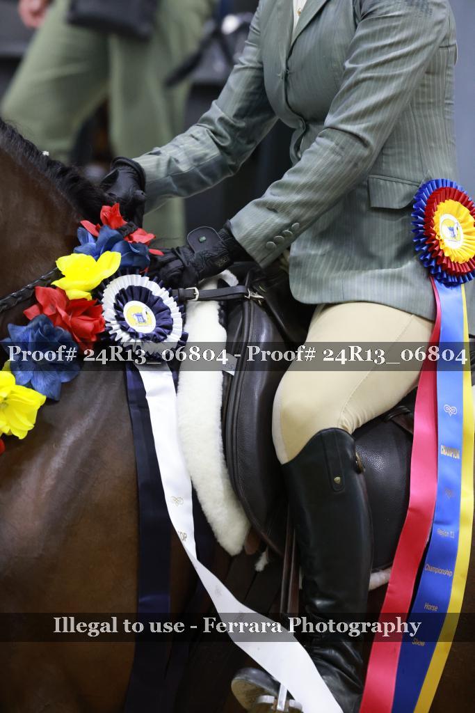 Proof 24R13_06804