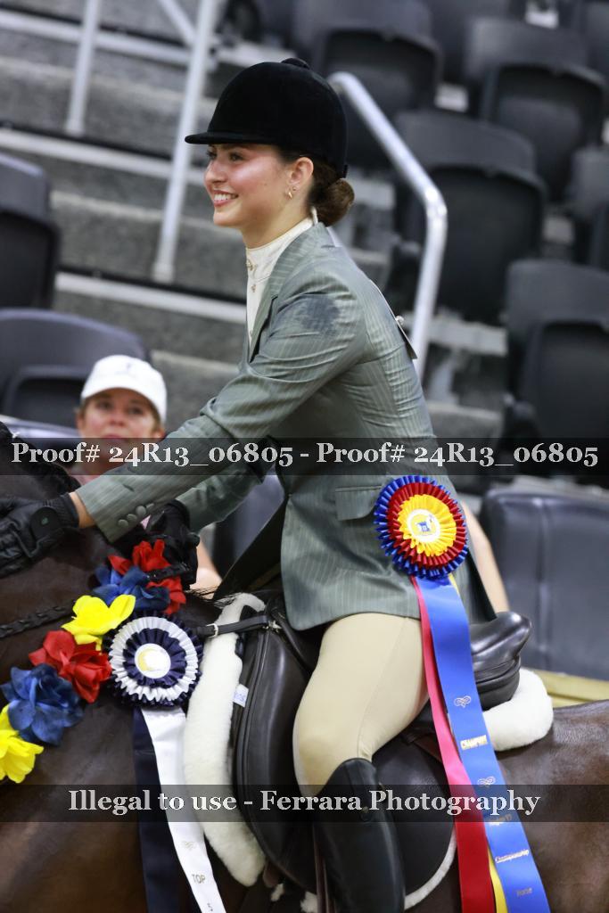 Proof 24R13_06805