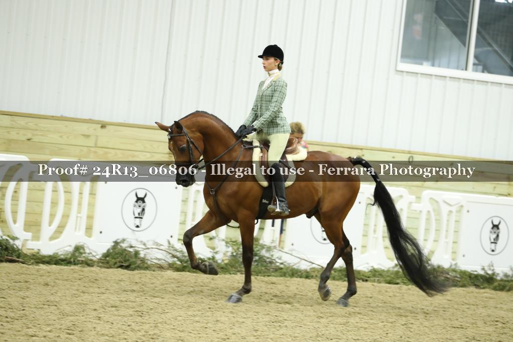 Proof 24R13_06806