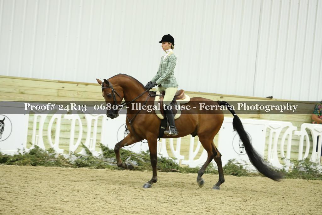 Proof 24R13_06807