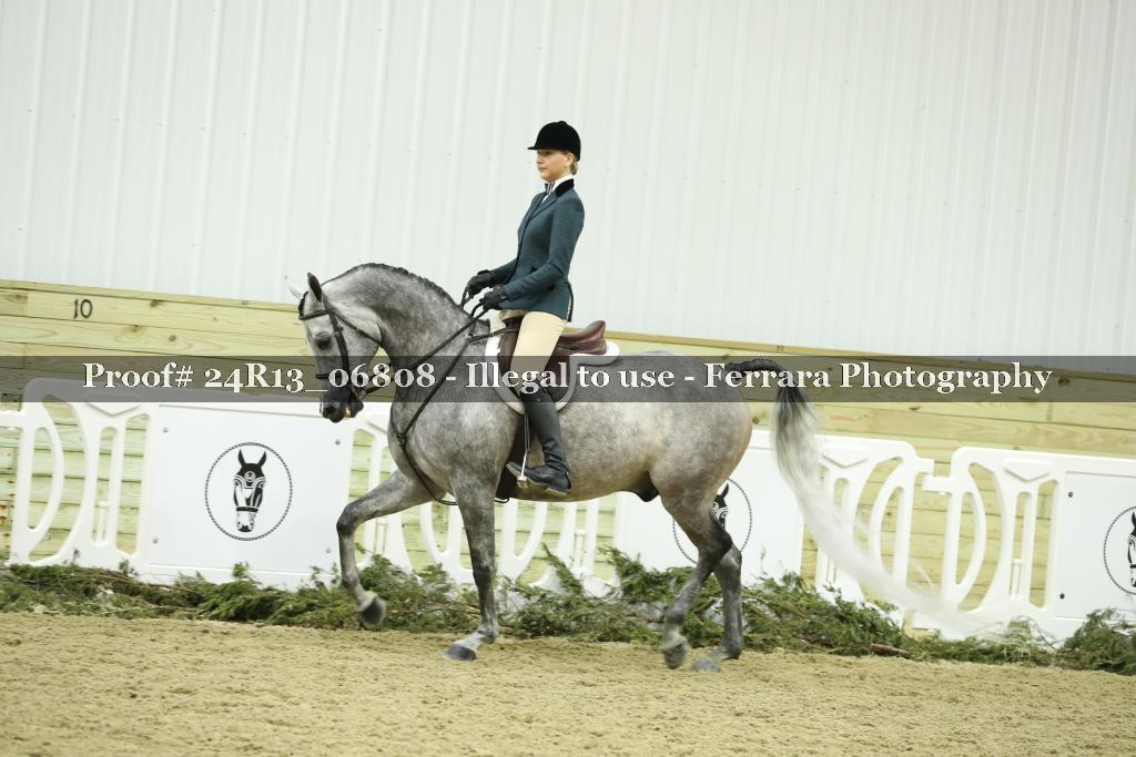 Proof 24R13_06808