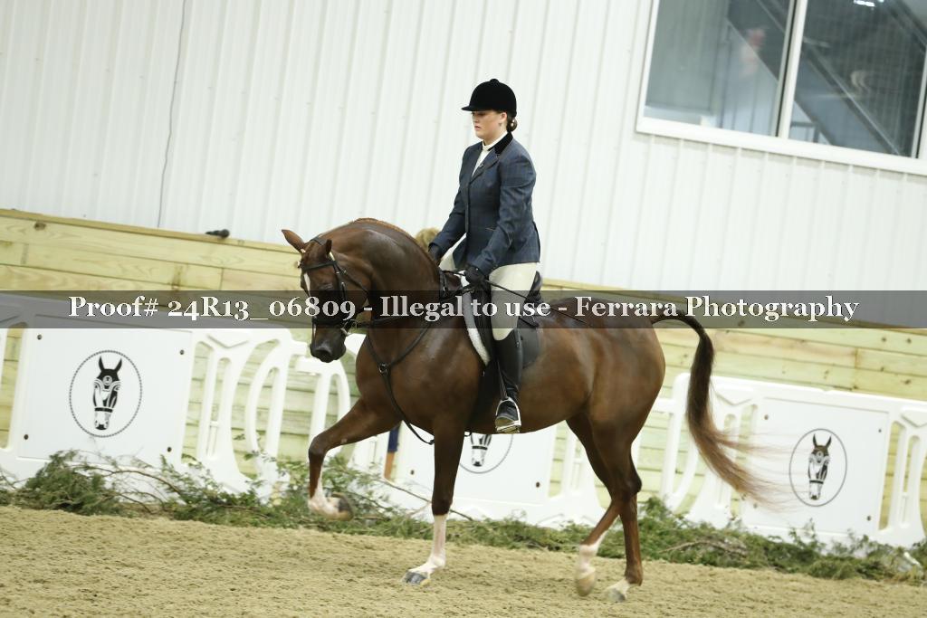 Proof 24R13_06809