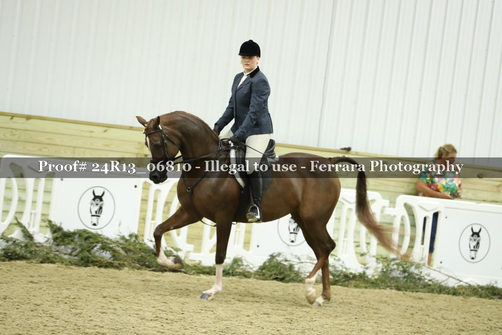 Proof 24R13_06810