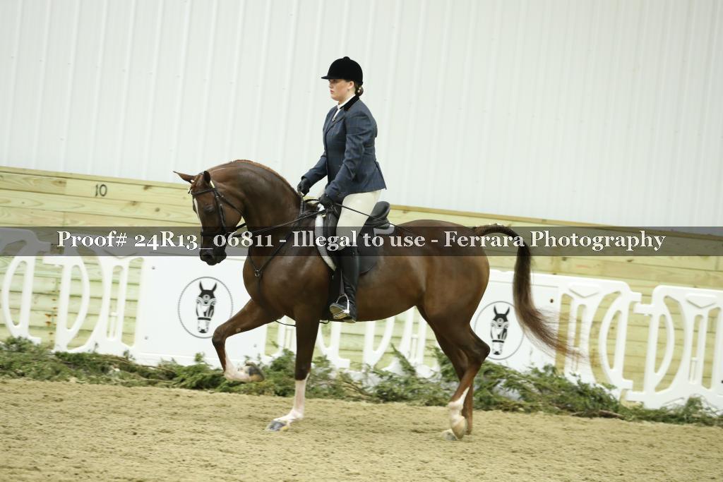 Proof 24R13_06811