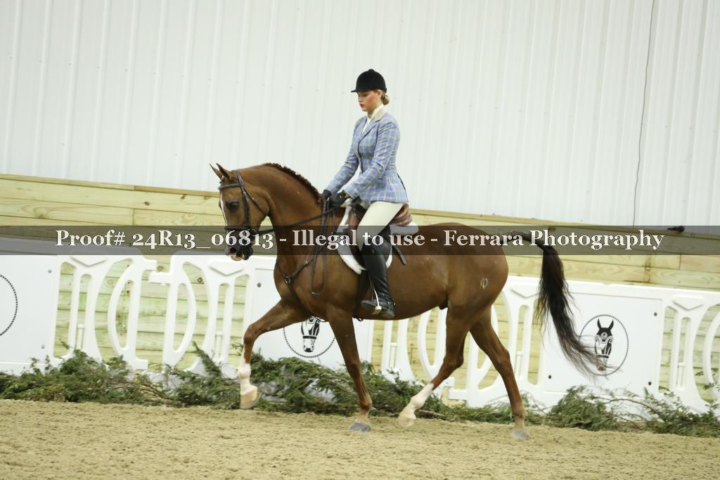 Proof 24R13_06813