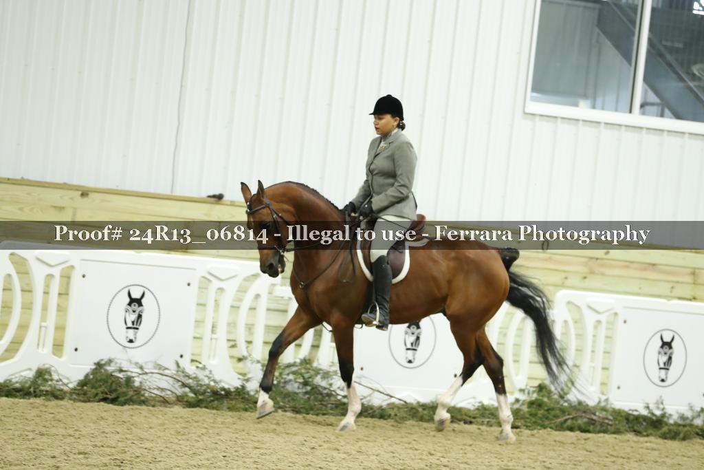 Proof 24R13_06814