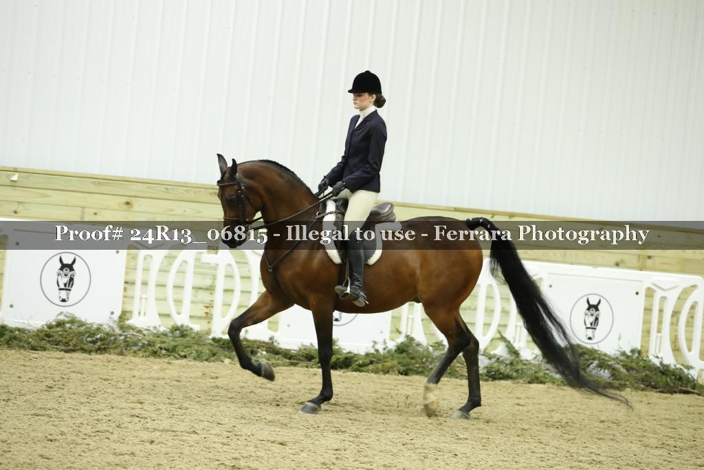 Proof 24R13_06815