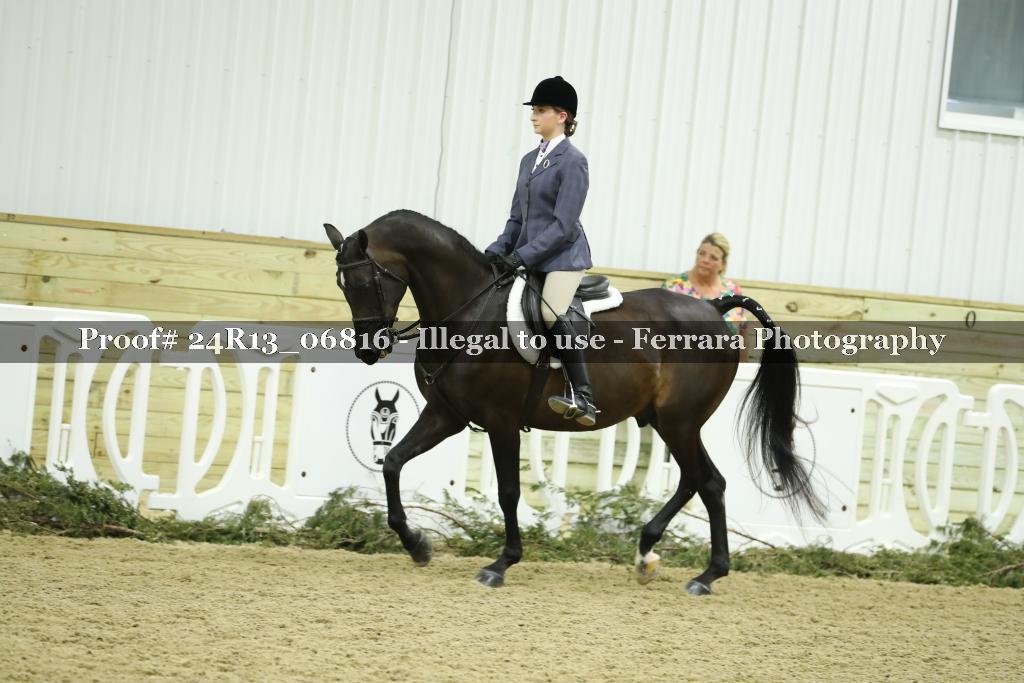 Proof 24R13_06816
