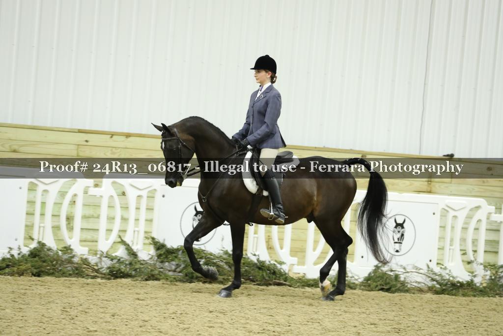Proof 24R13_06817