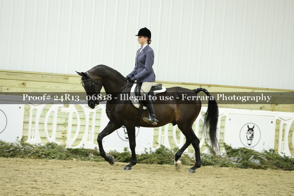 Proof 24R13_06818