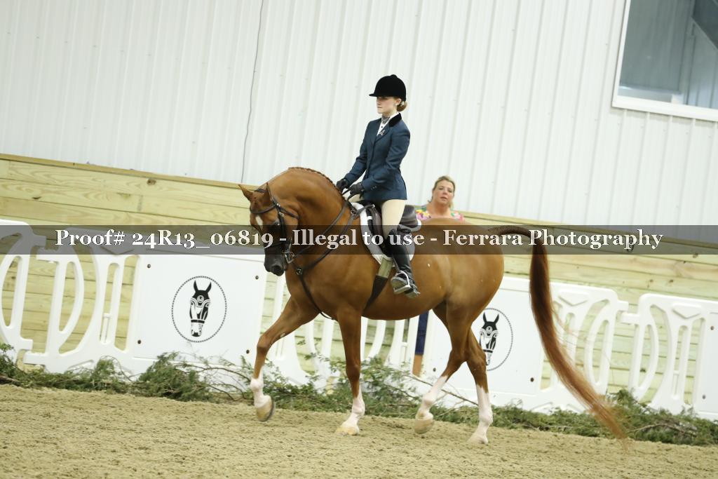 Proof 24R13_06819