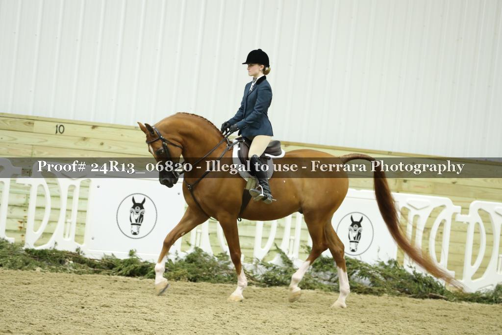 Proof 24R13_06820