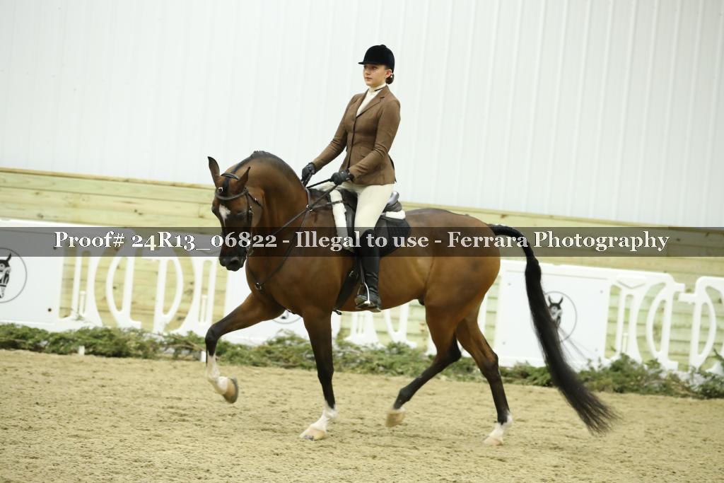 Proof 24R13_06822