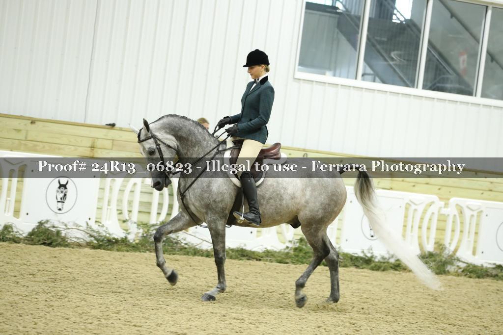 Proof 24R13_06823