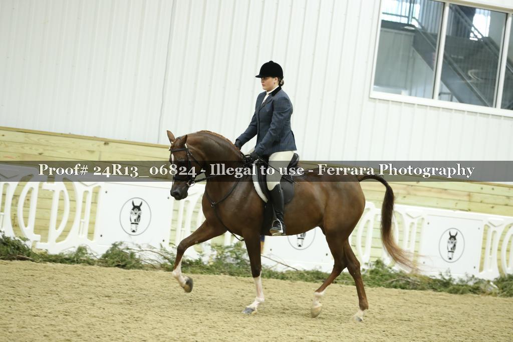 Proof 24R13_06824
