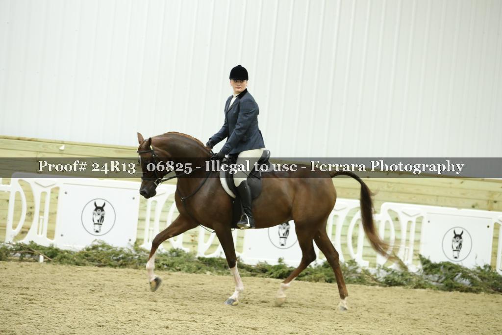 Proof 24R13_06825