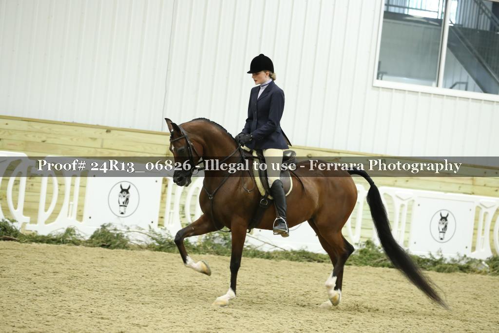 Proof 24R13_06826