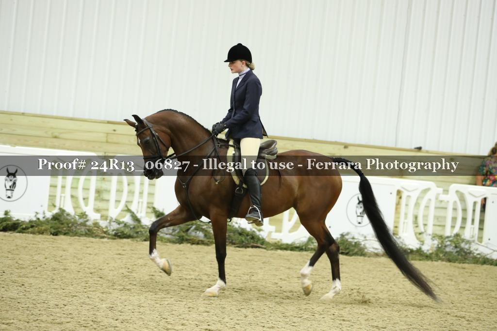 Proof 24R13_06827