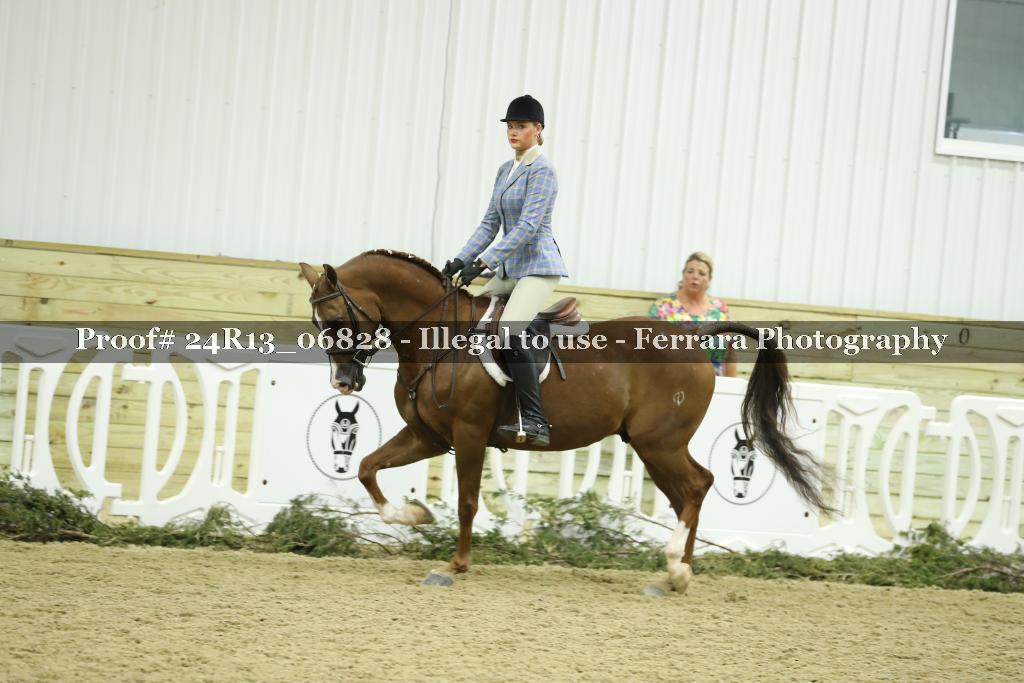 Proof 24R13_06828
