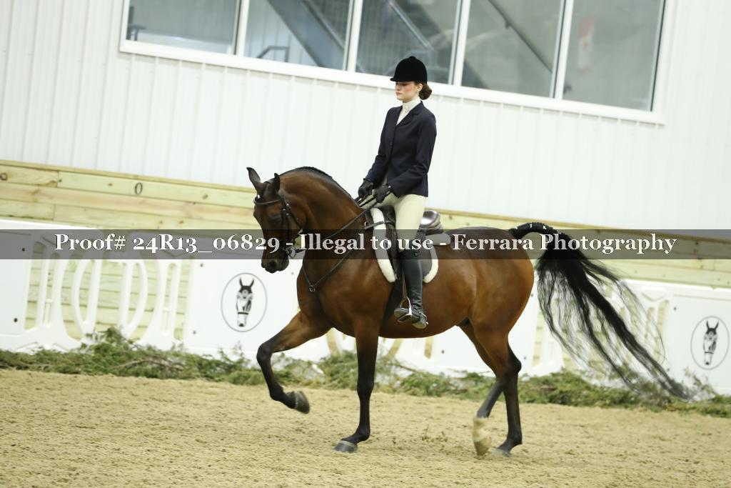 Proof 24R13_06829