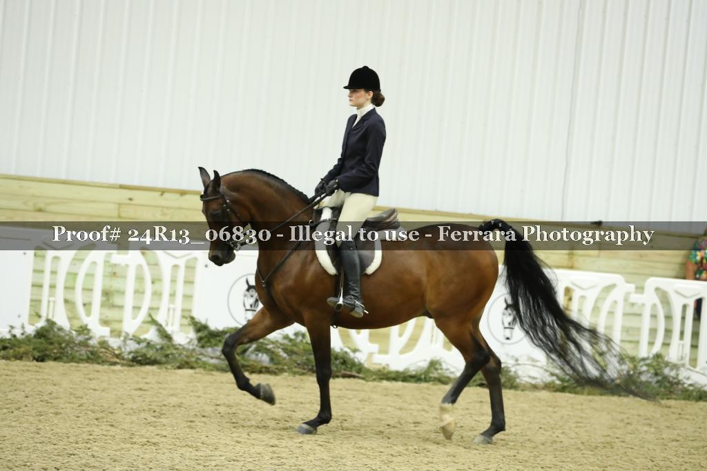 Proof 24R13_06830