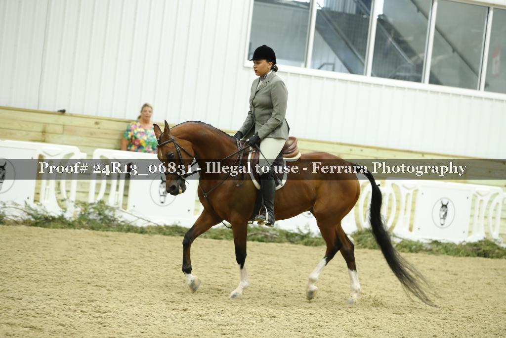 Proof 24R13_06831