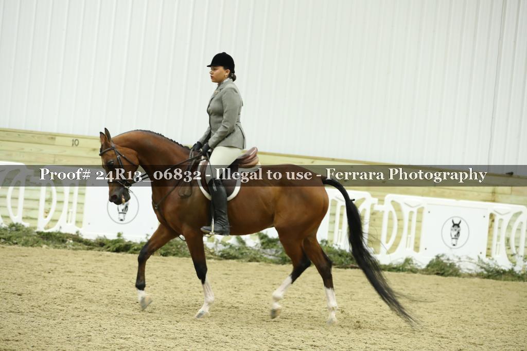 Proof 24R13_06832