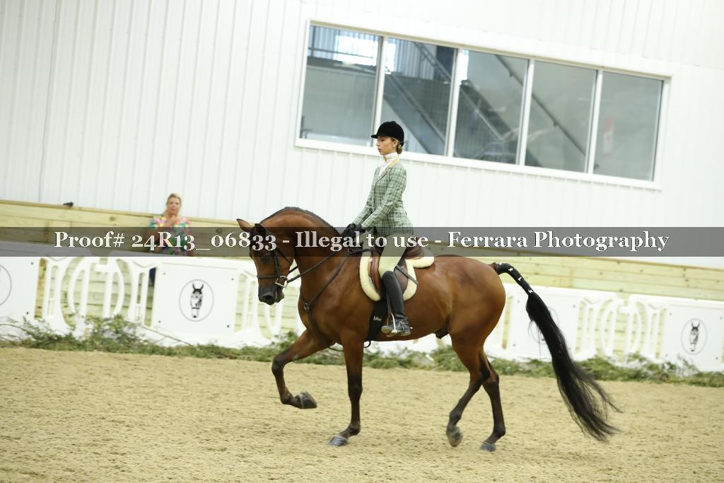 Proof 24R13_06833