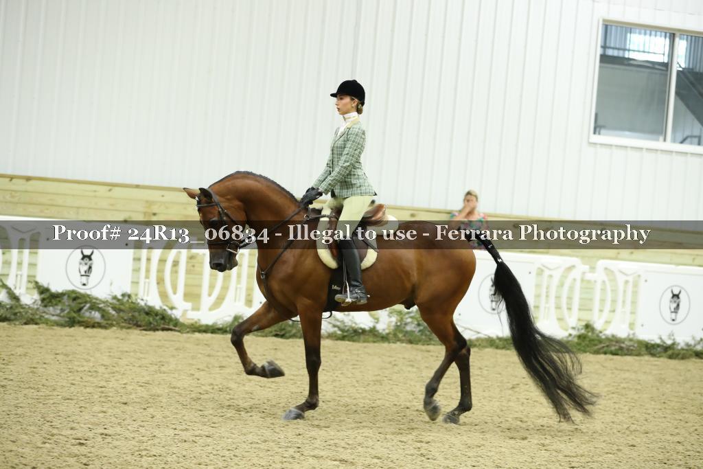 Proof 24R13_06834