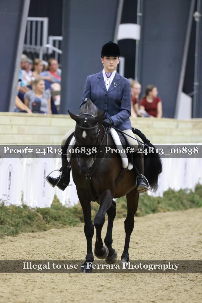 Proof 24R13_06838