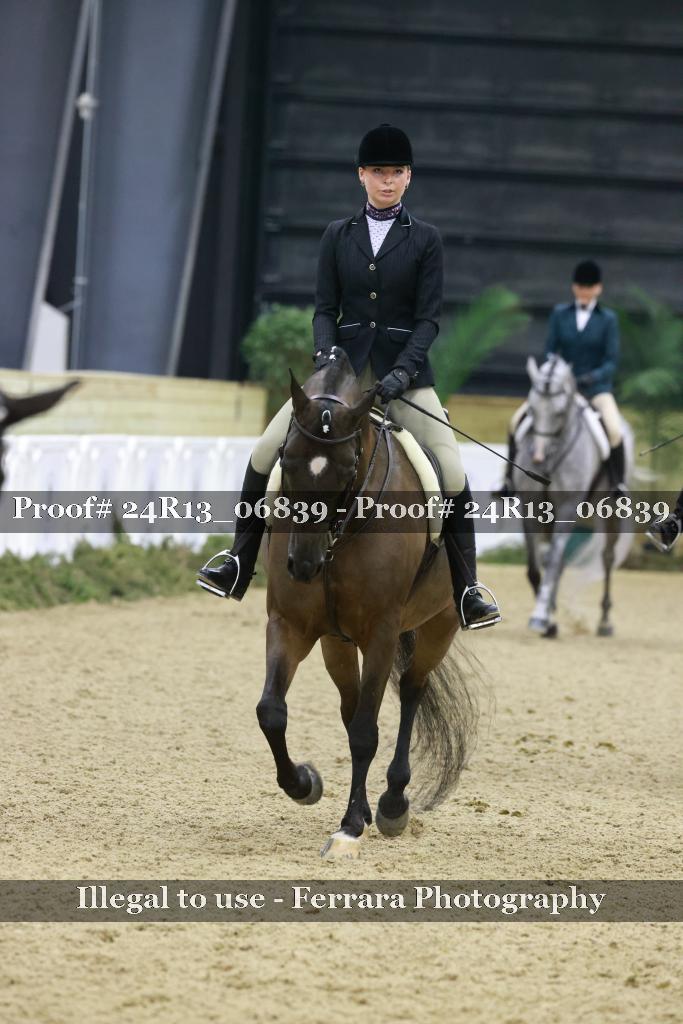 Proof 24R13_06839